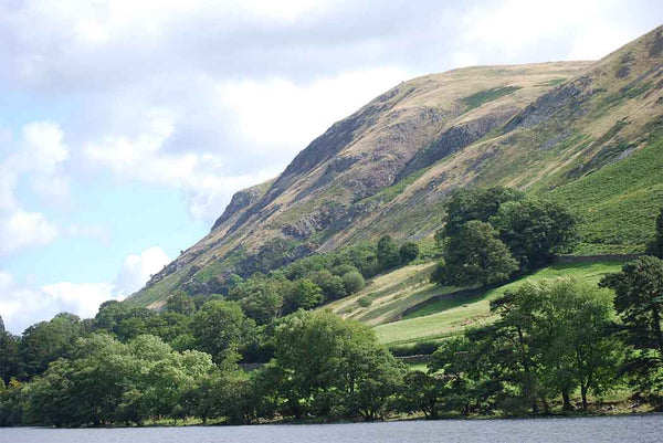 Cumbria Woodland Walk