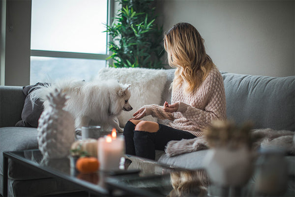 Dog with Woman on Sofa