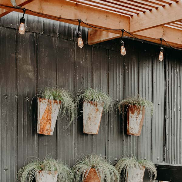 Garden Wall Lights