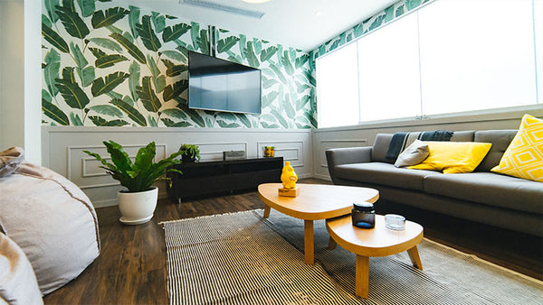 Green Wallpaper in Living Room with Grey Sofa