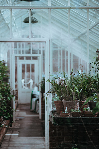 Greenhouse at Modish Living