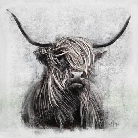 Grey Highlander Canvas Art for Wall