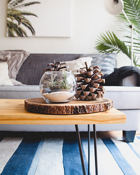 Living Room Sofa and Coffee Table