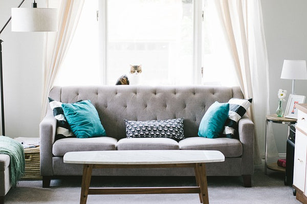 Living Room with Sofa and Coffee Table