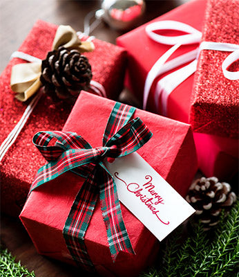 Merry Christmas from Modish Living
