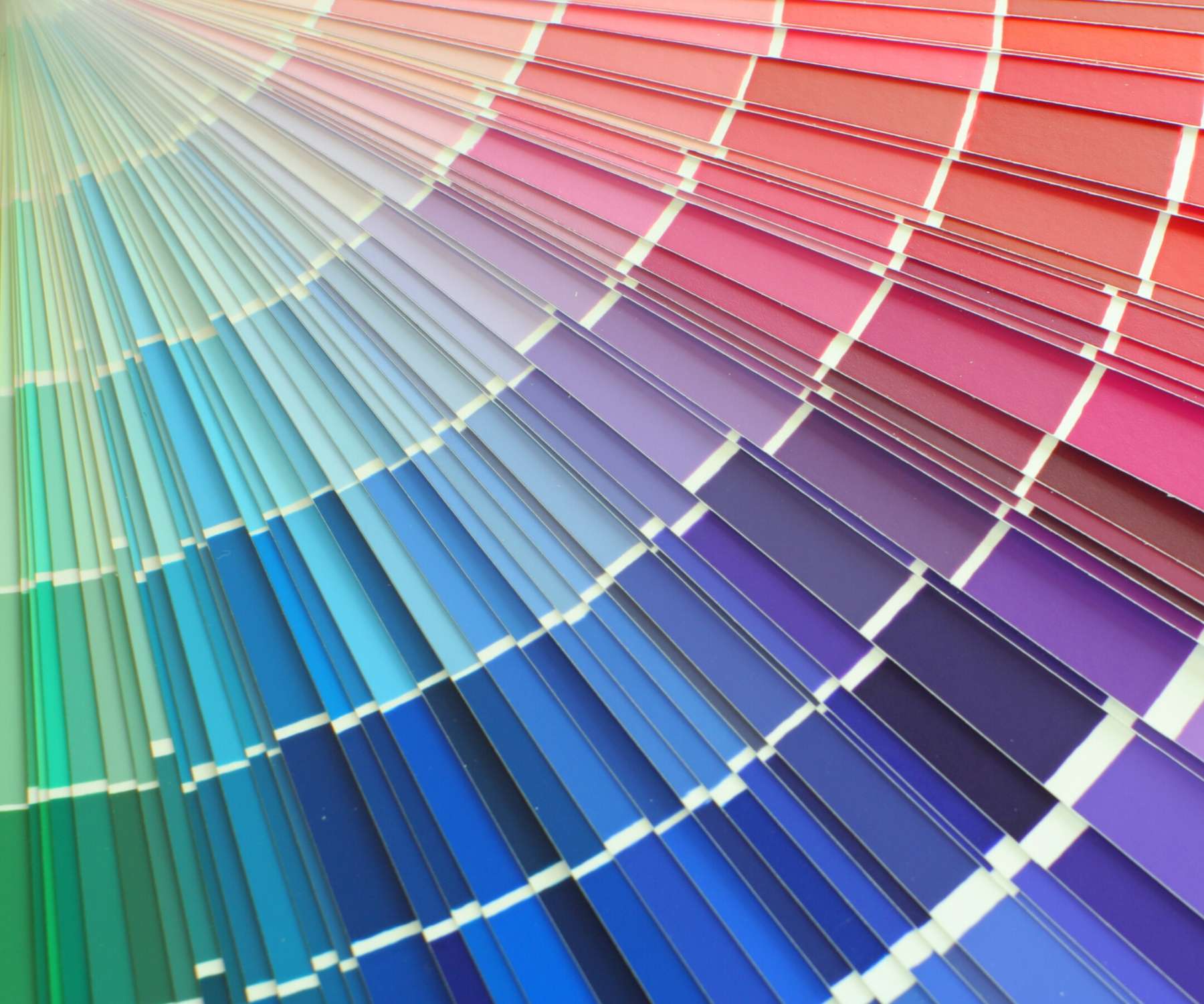 colour palette